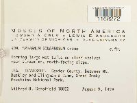 Sphagnum squarrosum image