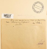 Image Associated With the Occurrence