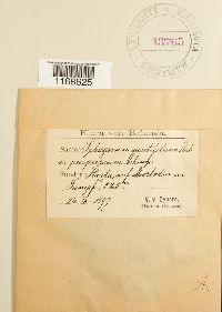 Image Associated With the Occurrence