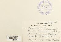 Image Associated With the Occurrence