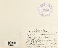 Image Associated With the Occurrence