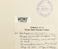 Image Associated With the Occurrence