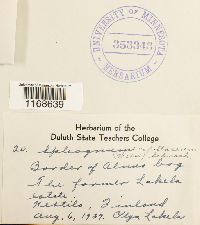 Image Associated With the Occurrence