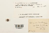 Image Associated With the Occurrence