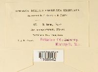 Media resource of Sphagnum teres