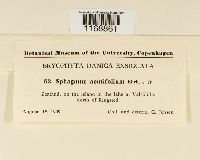 Image Associated With the Occurrence