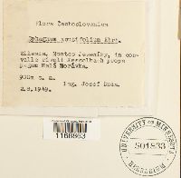 Image Associated With the Occurrence