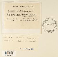 Image Associated With the Occurrence