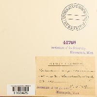 Splachnum ampullaceum image