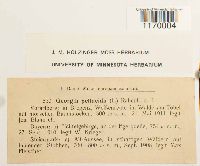 Tetraphis pellucida image