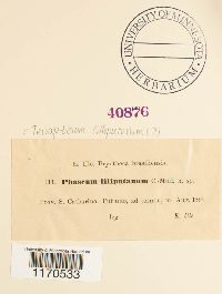 Image Associated With the Occurence