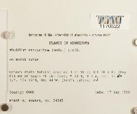 Media resource of Thuidium recognitum