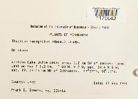 Thuidium recognitum image