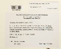 Thuidium recognitum image