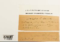 Media resource of Cyrto-hypnum minutulum