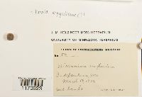 Image Associated With the Occurrence