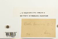thumbnail image of current specimen