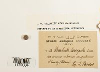 thumbnail image of current specimen