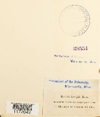 thumbnail image of current specimen