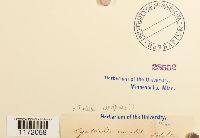 thumbnail image of current specimen