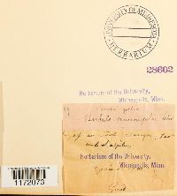 thumbnail image of current specimen
