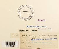 Image Associated With the Occurrence