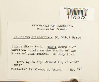 Image Associated With the Occurrence