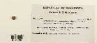 thumbnail image of current specimen