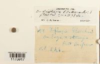 Image Associated With the Occurrence