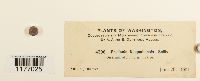 thumbnail image of current specimen