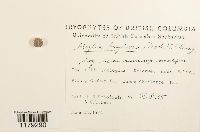 thumbnail image of current specimen