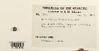 thumbnail image of current specimen