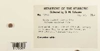 thumbnail image of current specimen