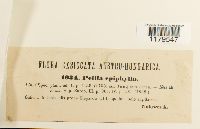 Image Associated With the Occurrence