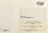 Image Associated With the Occurrence