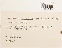 Image Associated With the Occurrence