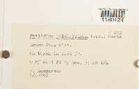 Image Associated With the Occurrence