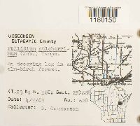 Image Associated With the Occurrence