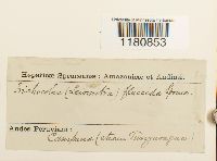 Image Associated With the Occurrence