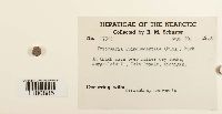 Thumbnail image of current specimen