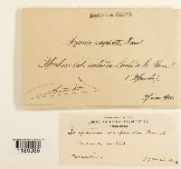 Media resource of Scapania undulata