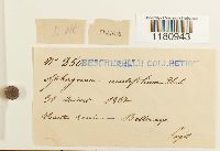 Image Associated With the Occurrence