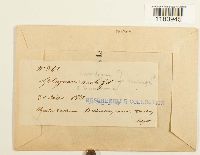 Image Associated With the Occurrence