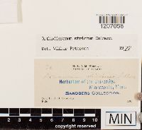 Image Associated With the Occurrence