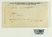 Image Associated With the Occurrence