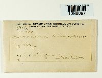 Image Associated With the Occurrence