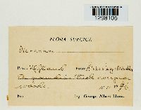 Image Associated With the Occurrence