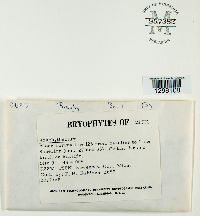 Image Associated With the Occurrence