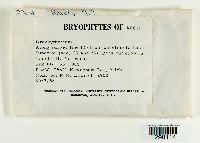 Image Associated With the Occurrence