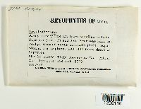 Image Associated With the Occurrence